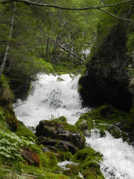 Cascate sopra i ruderi di Malga Pradidali (48378 bytes)